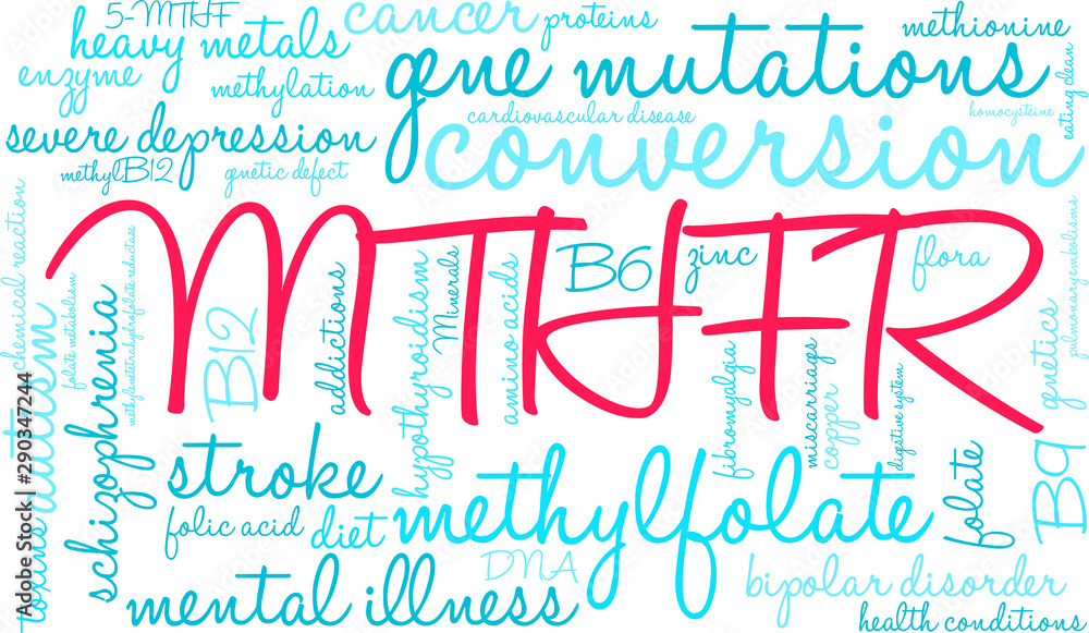 MTHFR Word Cloud on a white background. 