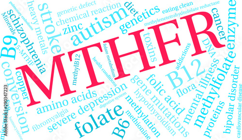 MTHFR Word Cloud on a white background.  photo