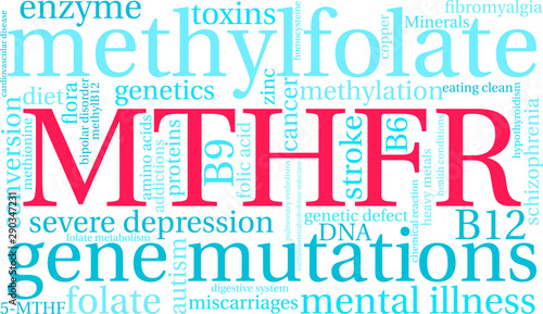 MTHFR Word Cloud on a white background. 