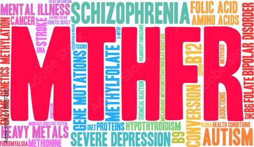 MTHFR Word Cloud on a white background. 