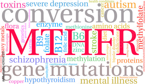 MTHFR Word Cloud on a white background. 