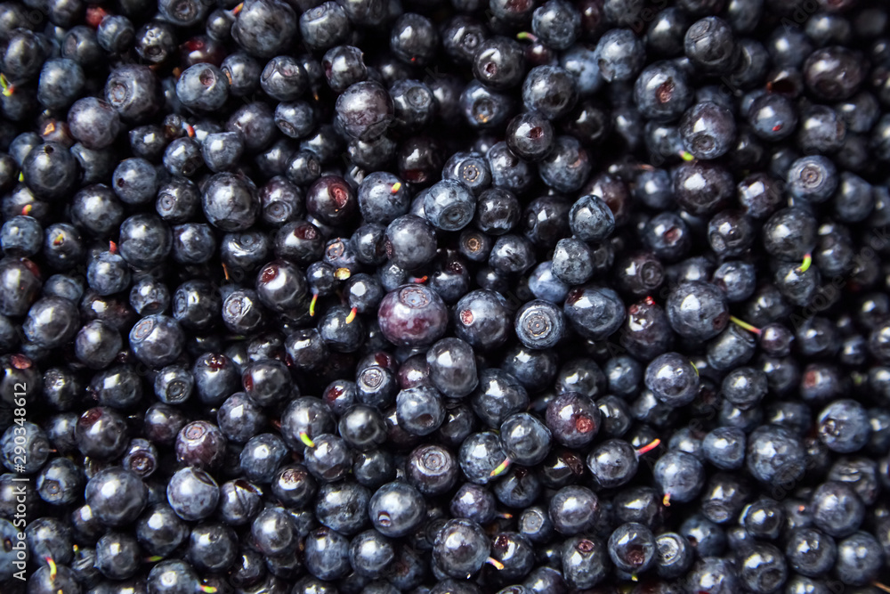 Wild bilberries texture background. Fresh dark blue berries Wild bilberries texture background. Fresh dark blue berries