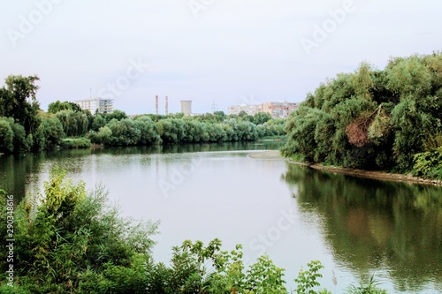 Image of the river with willows