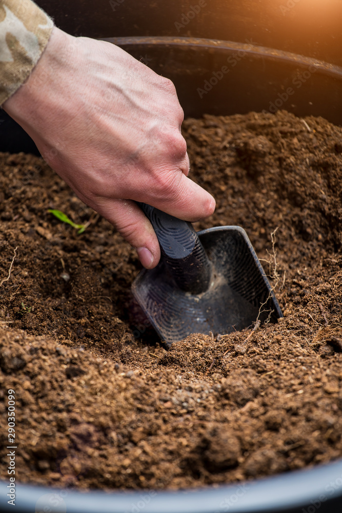 Gardeners hand planting flowers in pot with dirt or soil Gardeners hand planting flowers in pot with dirt or soil