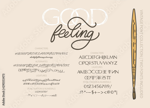 Hand drawn calligraphic vector duo font. Distress grunge texture. Modern script calligraphy type pair. ABC typography latin alphabet.