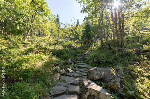 Sun over hiking trail in Polish Beskid Mountains