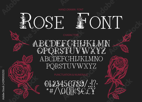 Hand drawn calligraphic vector serif font. Distress ornate floral letters. Modern calligraphy type set. ABC typography latin alphabet with rose illustrations.