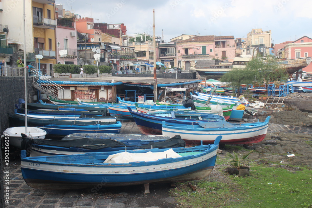 blue fishing boats on the shore with a cat on it