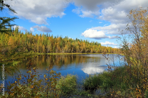 Forest lake on a Sunny autumn day in Yamal