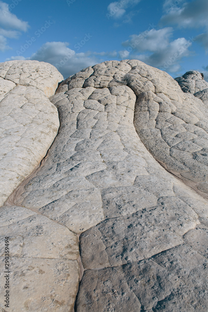 View of eroded sandstone rock formations at dawn, White Pocket, Arizona View of eroded sandstone rock formations at dawn, White Pocket, Arizona