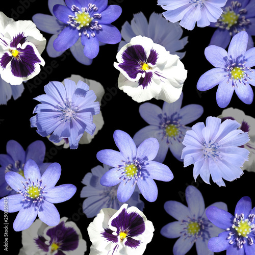 Beautiful floral background of liverwort, viola and chicory. Isolated © Ann-Mary