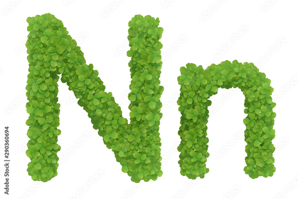 Letter N. Alphabet nature leaf font - 3D iIlustratión Letter N. Alphabet nature leaf font - 3D iIlustratión