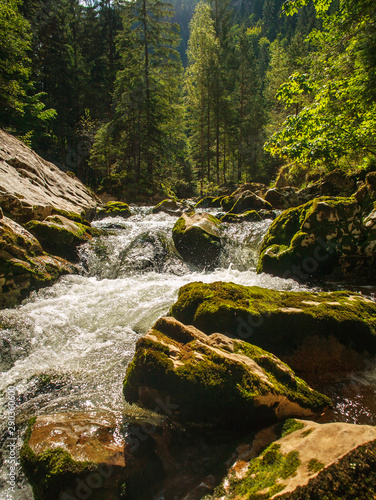 River water flow in mountain gorge among stones and trees  Bicaz Canyon  Romania