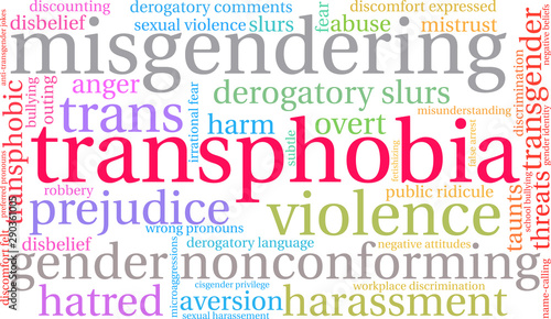 Transphobia Word Cloud on a white background. 