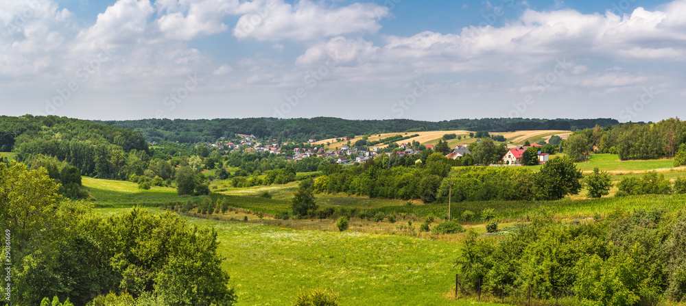 Panorama of Pszow - a city in southern Poland, in the province of Silesia. Europe