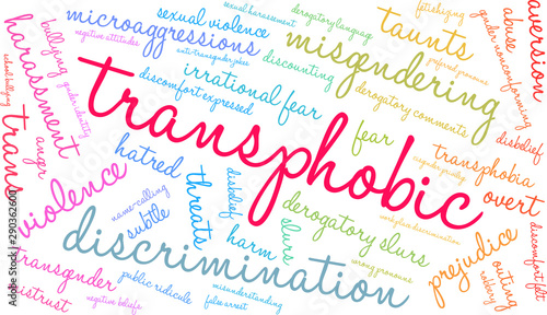 Transphobic Word Cloud on a white background. 