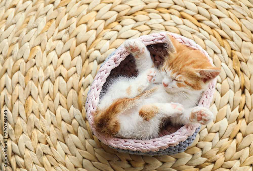 Cute little red kitten sleeping in knitted basket on wicker mat, above view - obrazy, fototapety, plakaty 