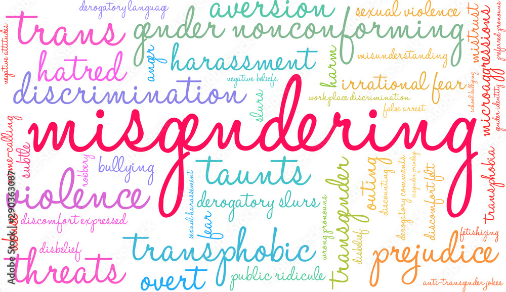 Misgendering Word Cloud on a white background. 