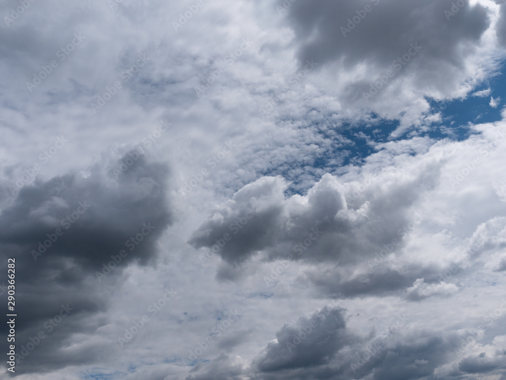 Obraz premium Beautiful various forms clouds in the high sky