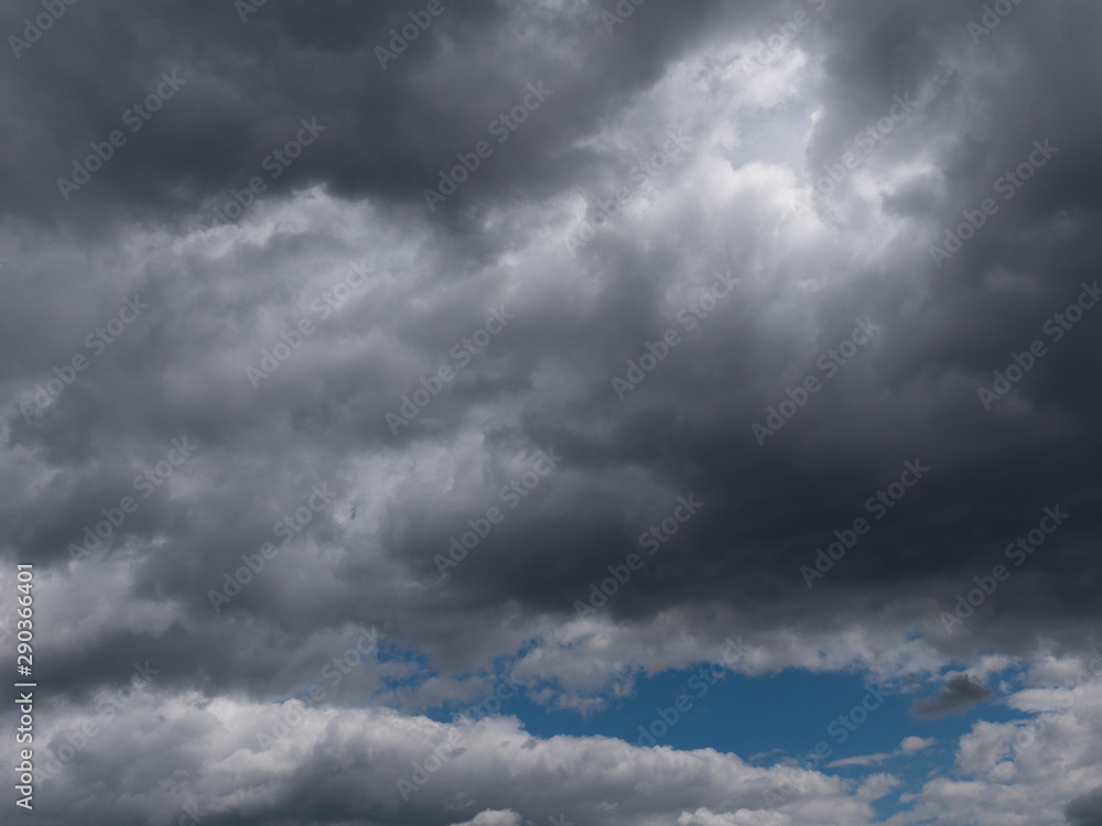 Fototapeta premium Beautiful various forms clouds in the high sky