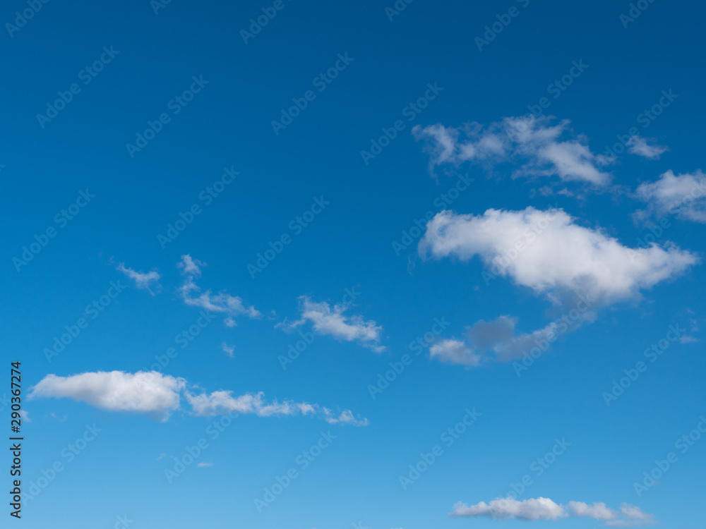 Fototapeta premium Beautiful various forms clouds in the high sky