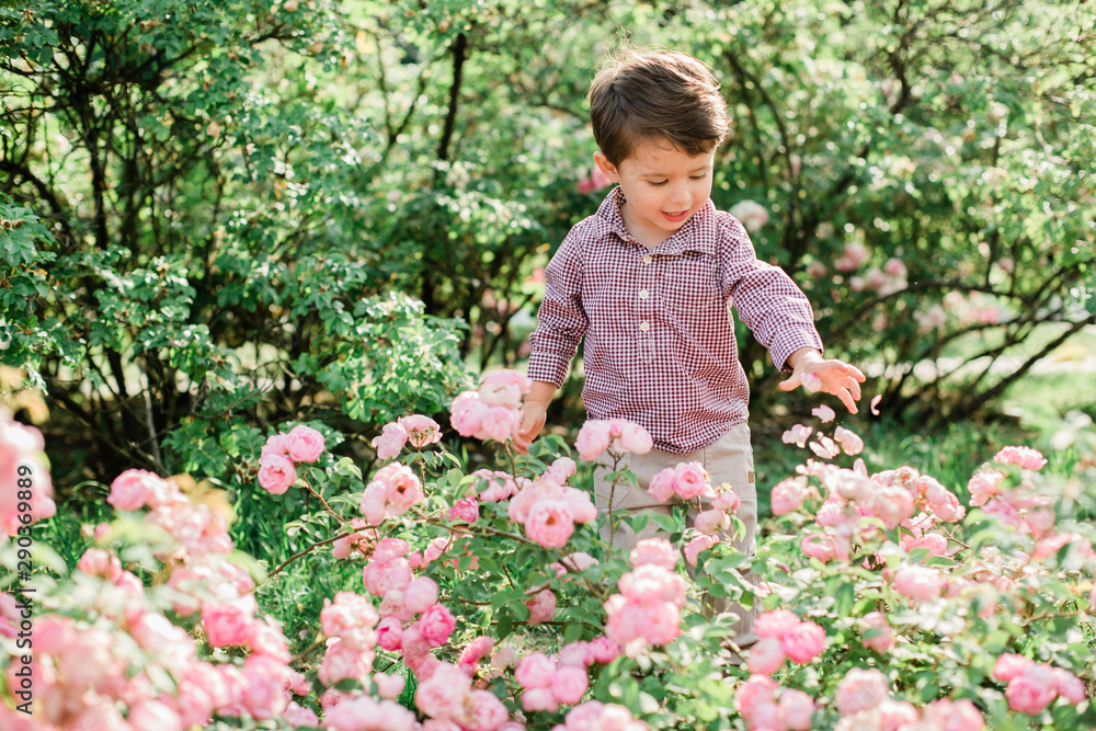 Cheerful cute little boy having fun in park. Happy childhood. Cheerful cute little boy having fun in park. Happy childhood.
