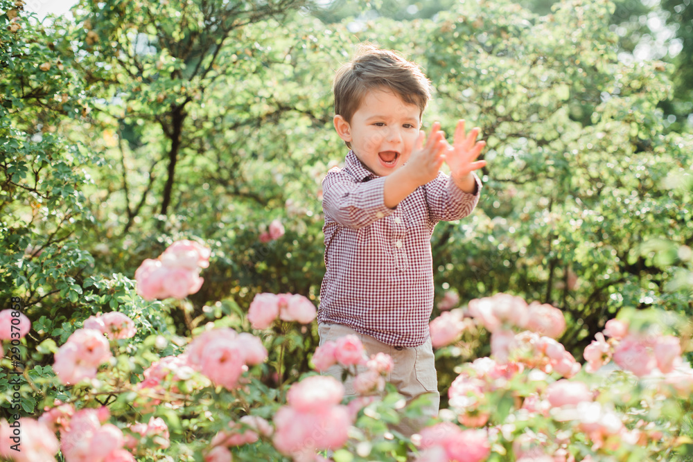 Cheerful cute little boy having fun in park. Happy childhood. Cheerful cute little boy having fun in park. Happy childhood.