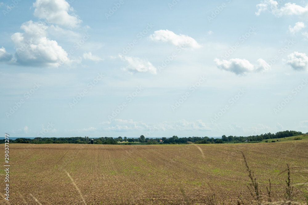 Landscape - view over a field in Österlen, Sweden in the summertime. Landscape - view over a field in Österlen, Sweden in the summertime.