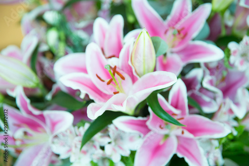 Pink lily flowers bouquet background © fotosr52