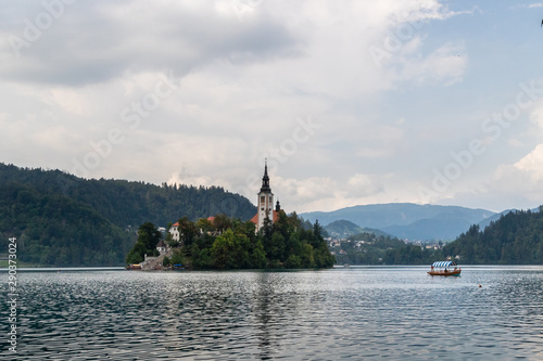 View of Bled Lake with Ducks and small church on the Island. Slovenia  Bled Lake