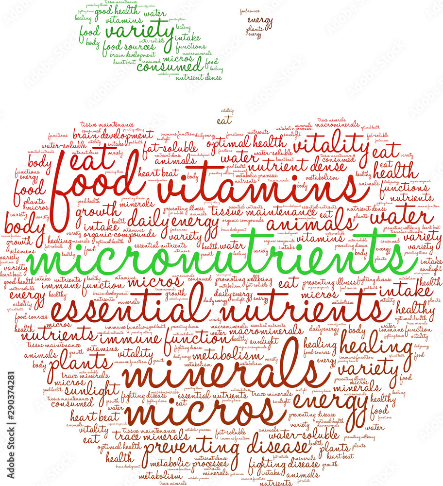Micronutrients Word Cloud on a white background. Micronutrients Word Cloud on a white background.