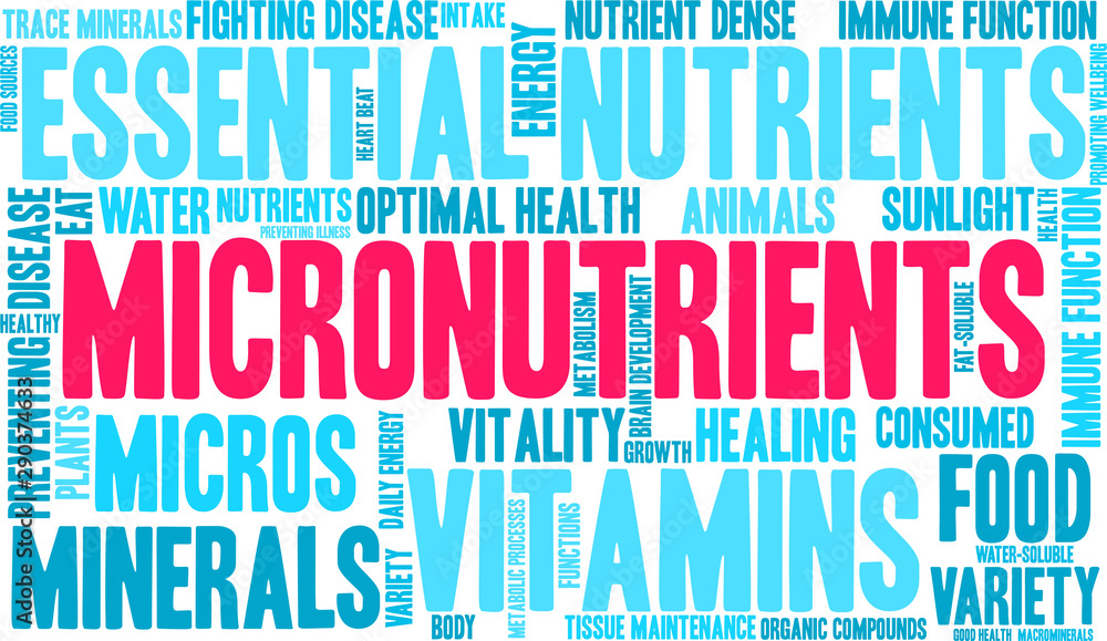 Micronutrients Word Cloud on a white background. Micronutrients Word Cloud on a white background.
