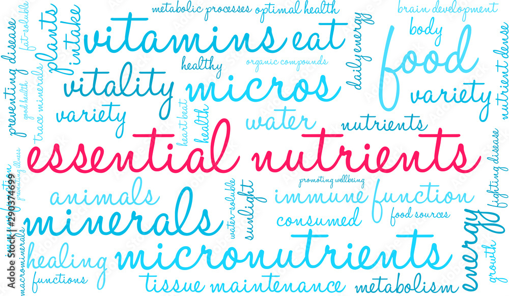 Essential Nutrients Word Cloud on a white background. Essential Nutrients Word Cloud on a white background.