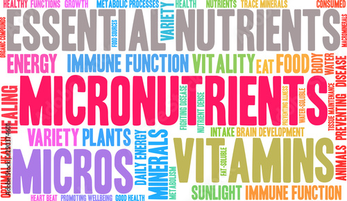 Micronutrients Word Cloud on a white background. 