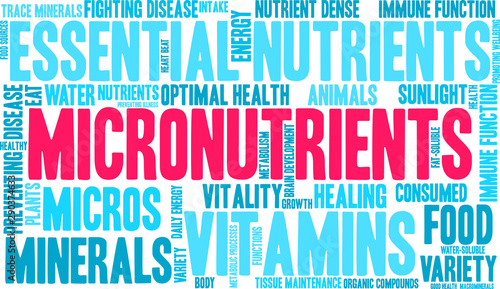 Micronutrients Word Cloud on a white background. 