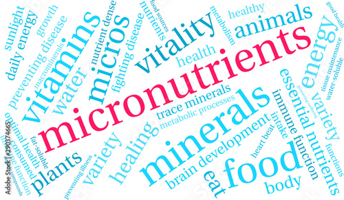 Micronutrients Word Cloud on a white background. 