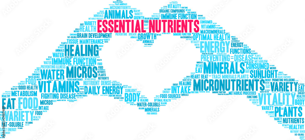 Essential Nutrients Word Cloud on a white background. Essential Nutrients Word Cloud on a white background.