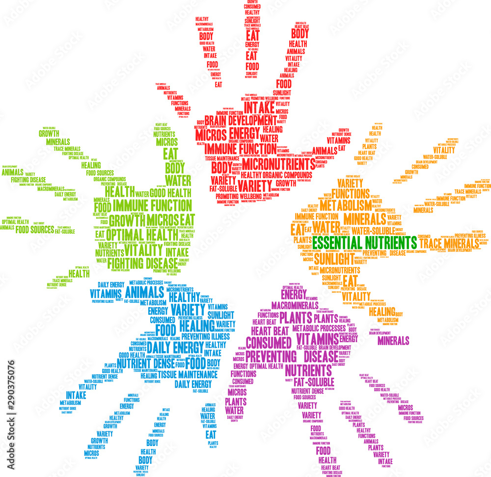 Essential Nutrients Word Cloud on a white background. Essential Nutrients Word Cloud on a white background.