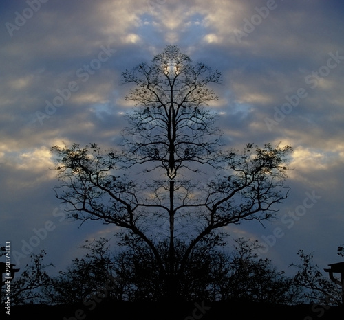 Surreal trees at the dusk. 3D rendering
