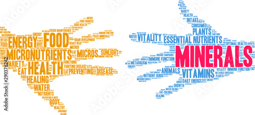 Minerals Word Cloud on a white background. 