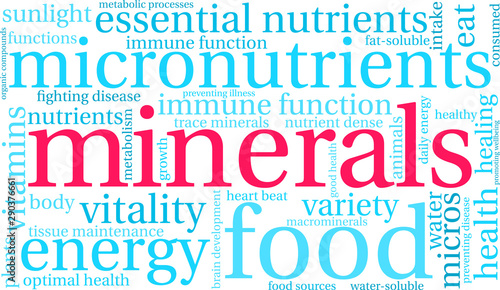 Minerals Word Cloud on a white background. 