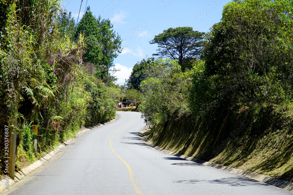 People enjoy a healthy trip in the public park Arvi in the city of Medellin, with a lot of trees, wood bridge and a river People enjoy a healthy trip in the public park Arvi in the city of Medellin, with a lot of trees, wood bridge and a river
