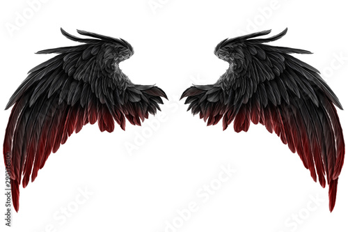 dark Angel Wings photo