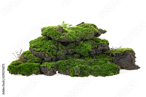Green moss with grass isolated on white background. Mossy hill.