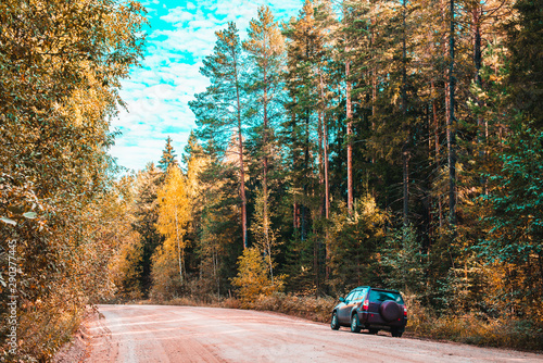 the car is standing on the side of a country dirt road in the forest. Landscape with tall trees. Edge of the forest in early autumn.