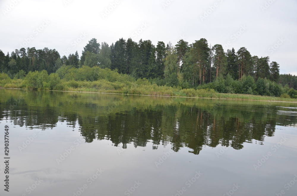 Obraz premium Blue water in a forest lake with pine trees
