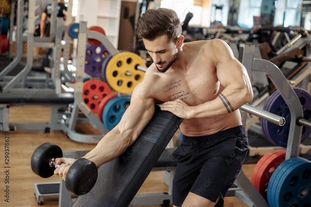 Fototapeta premium Handsome muscular athletic young man bodybuilder fitness model exercise biceps with dumbbell on the bench in gym.