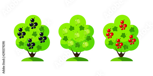 A set of garden bushes  flat design. Black currant bush  red currant bush and bush of gooseberry. Vector EPS10