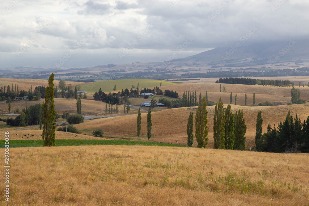 Naklejka premium Scenic road in Canterbury area, New Zealand