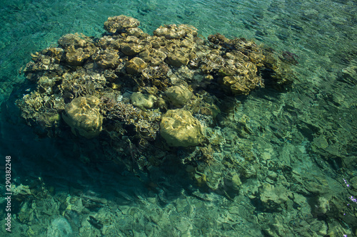 sea bottom view through transparent water with coral reef, clean ecology natural background scenic landscape 